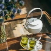 BALMUDA MoonKettle - White
