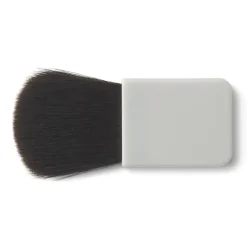 Cheek Brush for Case
