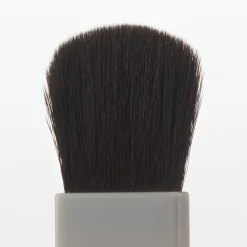 Cheek Brush for Case