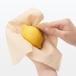 Paper Towel